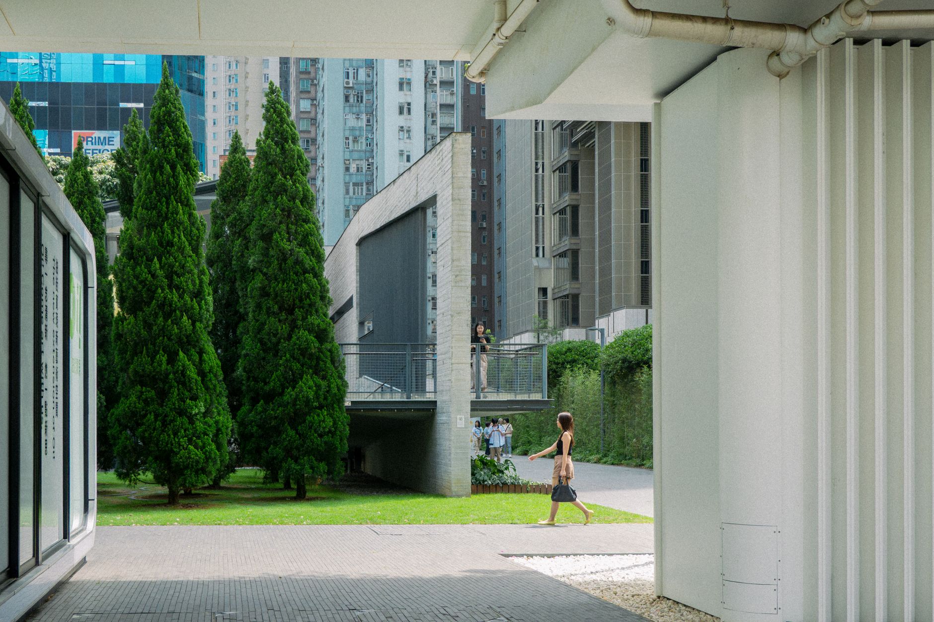 studyhk-org-cn 配图
