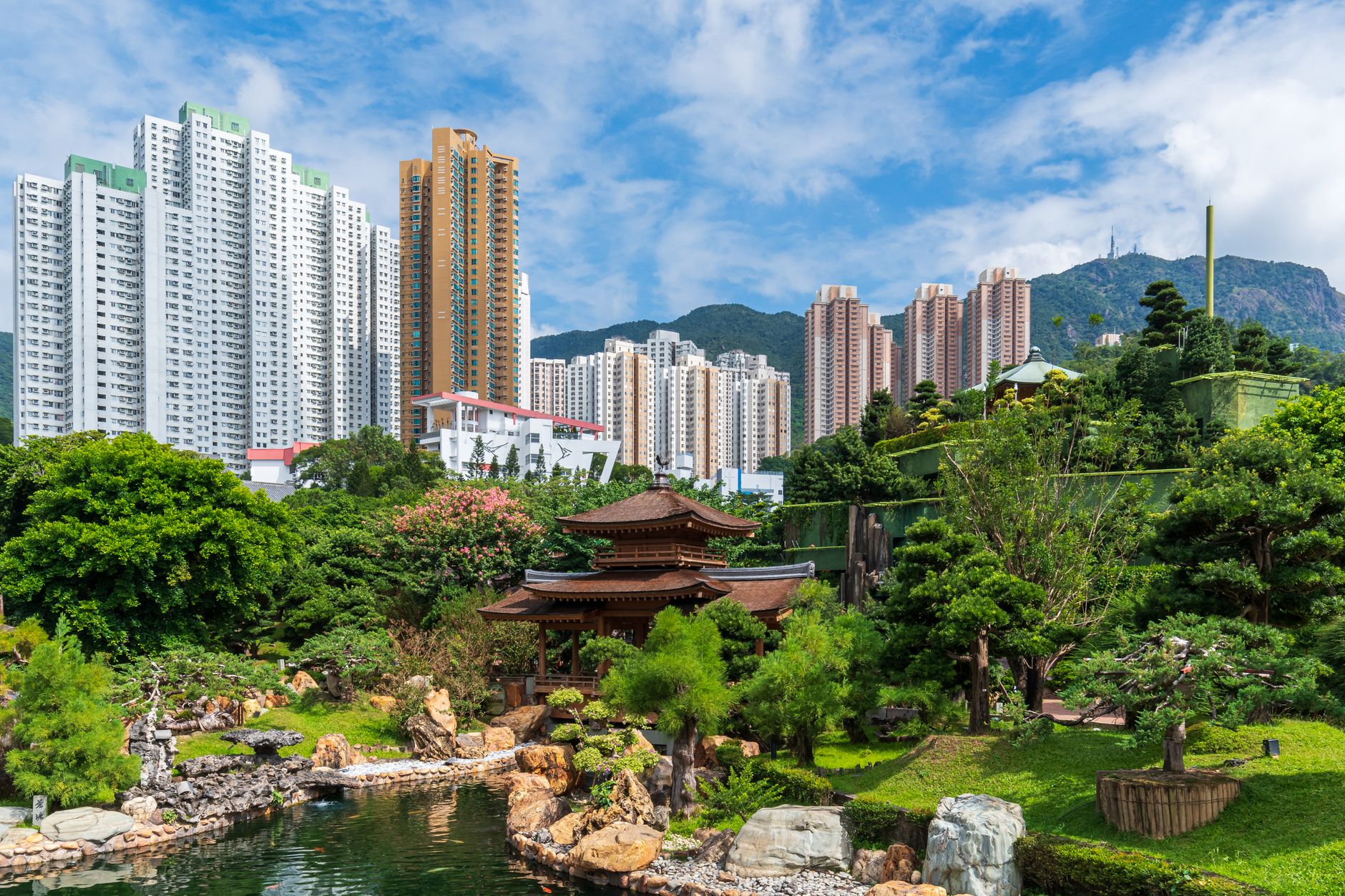studyhk-org-cn 配图